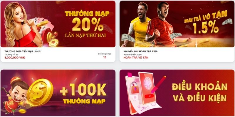 Thông tin chung về chương trình hoàn trả hằng ngày